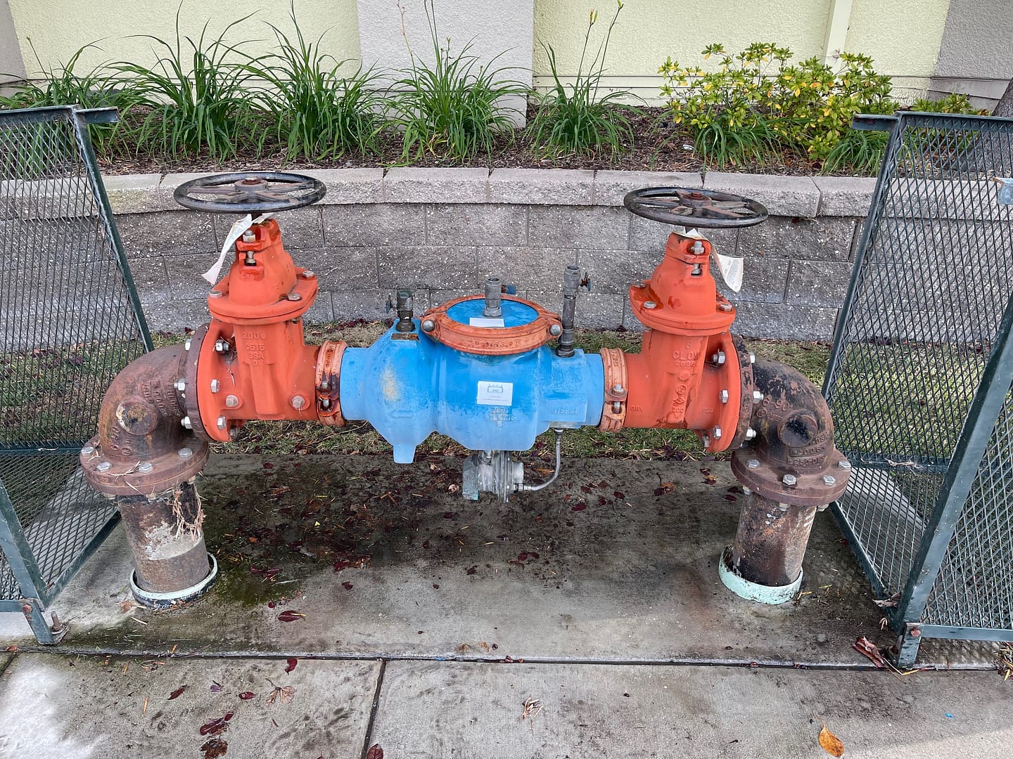 Image: A technician conducting Albany backflow testing on a residential or commercial property's water system.